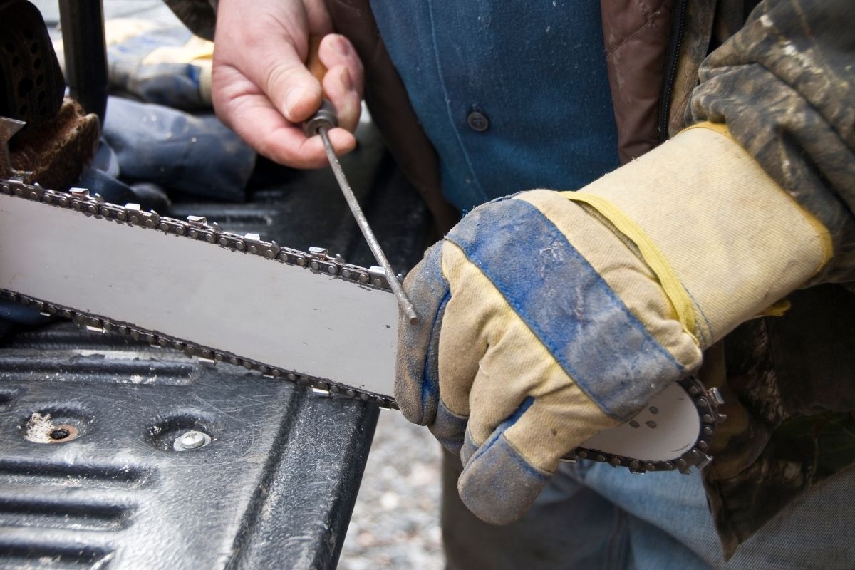 Sharpen a Chainsaw by Hand with a File
